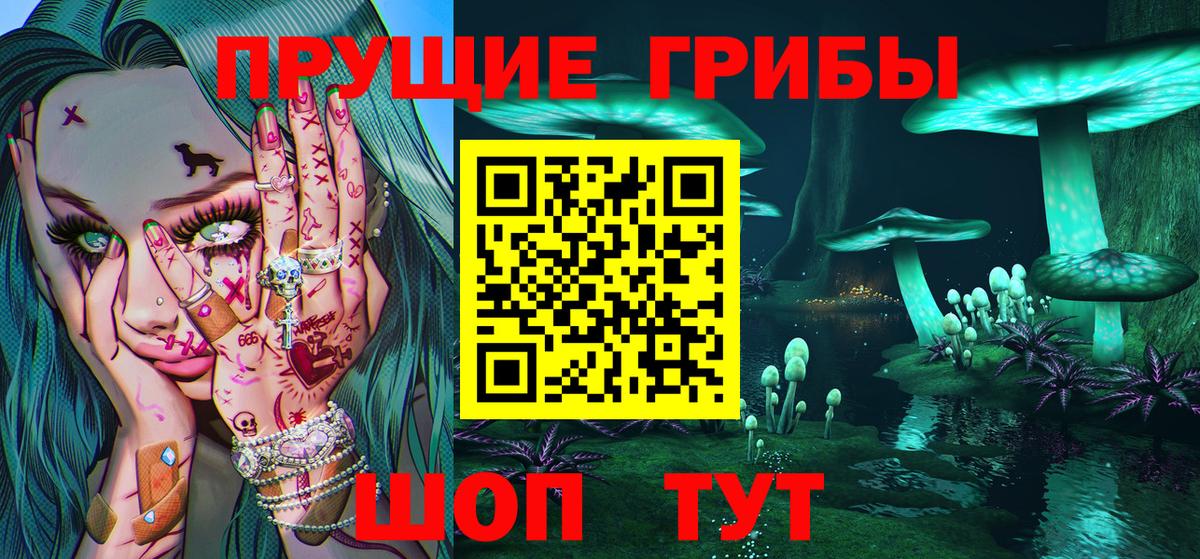 Галлюциногенные грибы Cubensis Родники