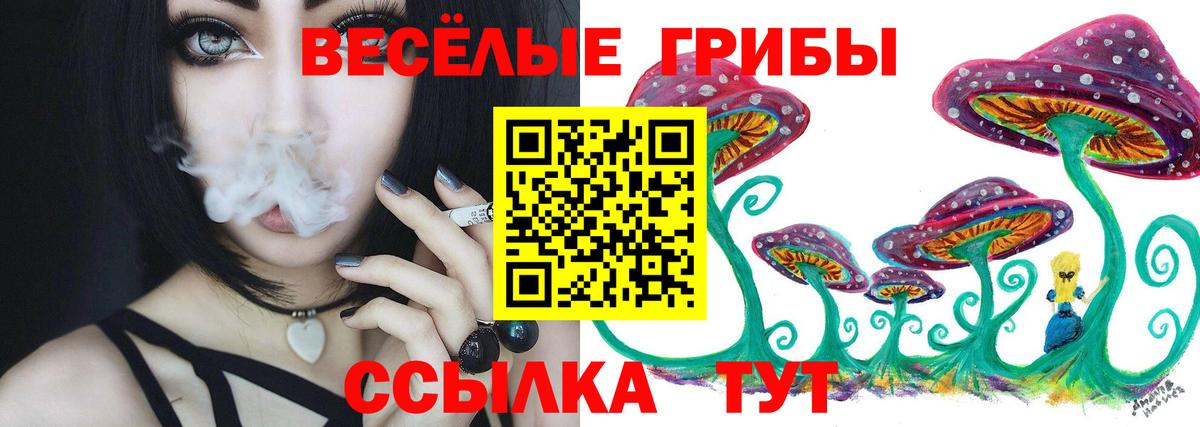 Родники  Псилоцибиновые грибы MAGIC MUSHROOMS  Вход с VPN 